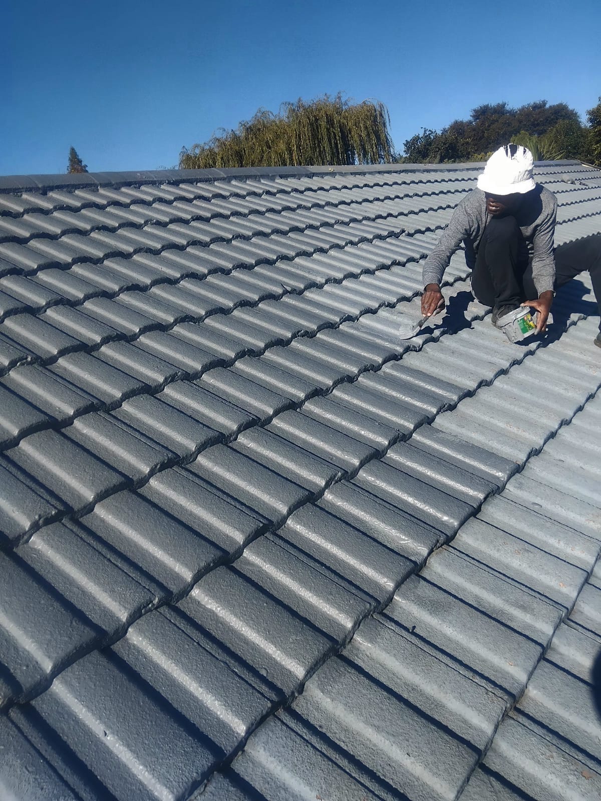 Roof with waterproof rubberising paint